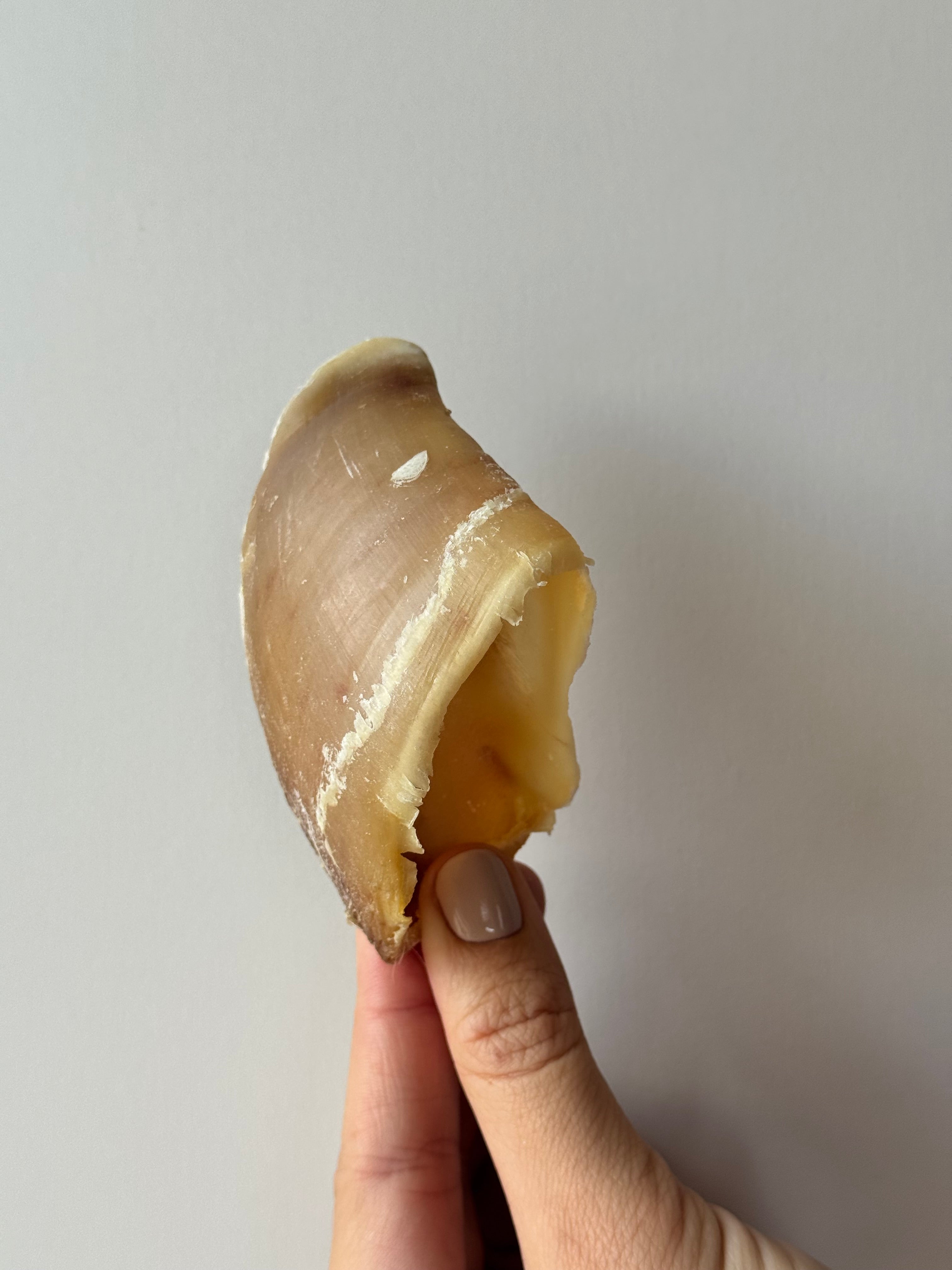 Sabot de veau