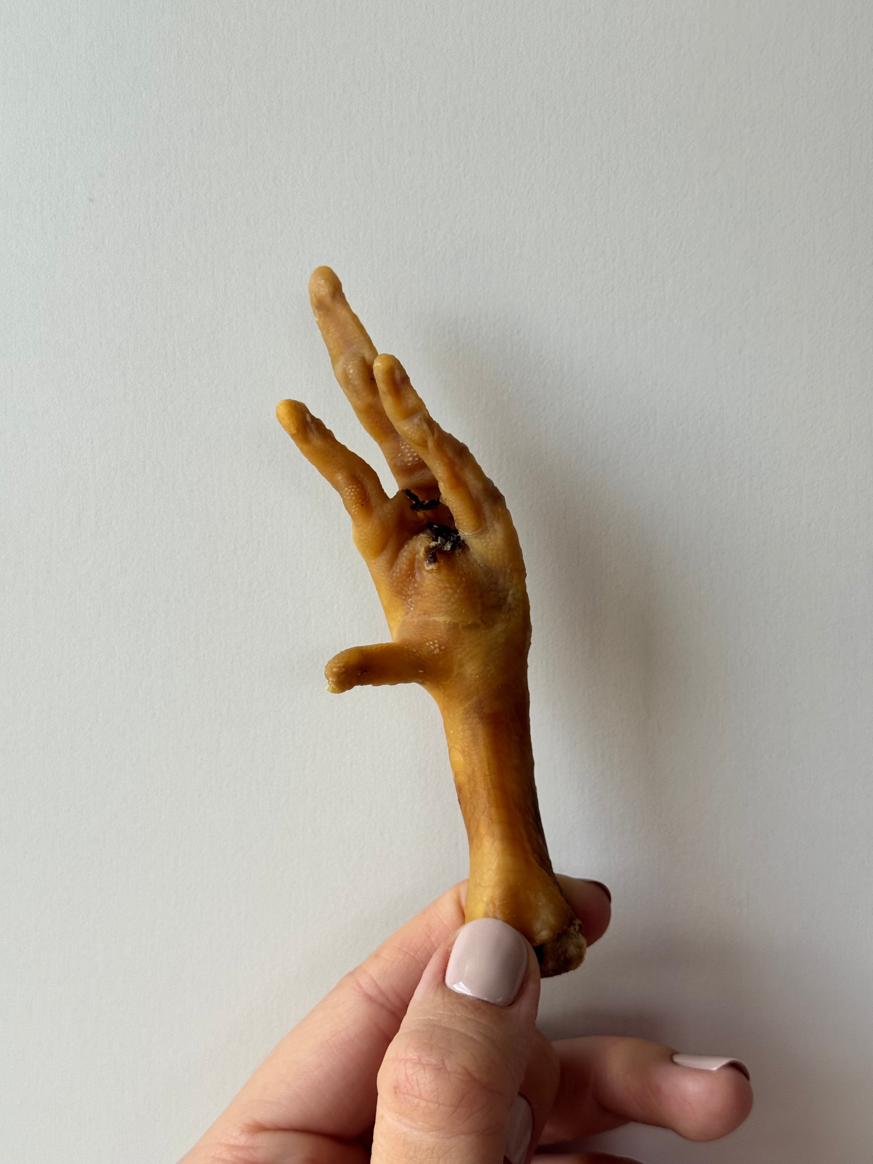 Patte de poulet