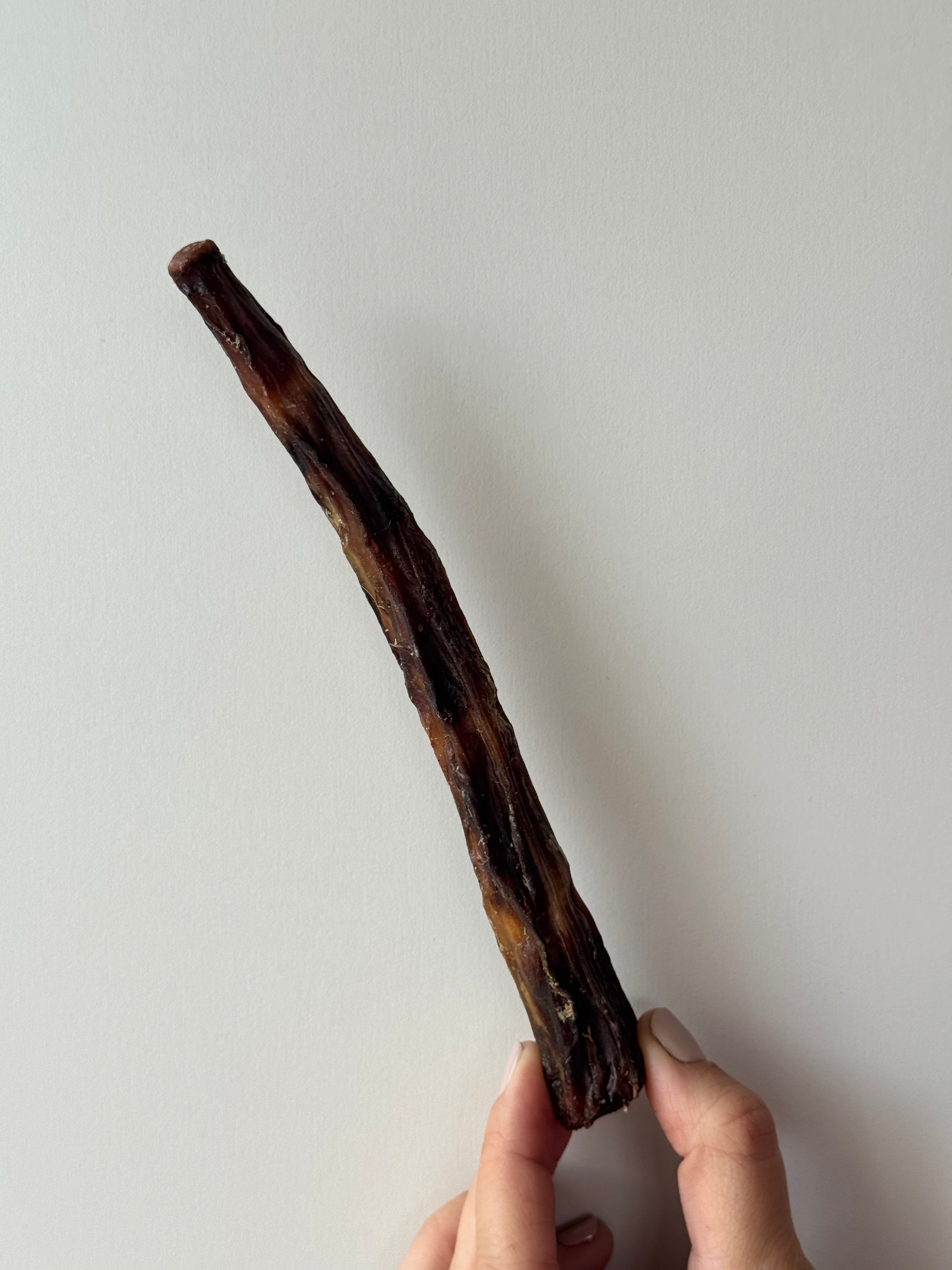 Queue de bœuf