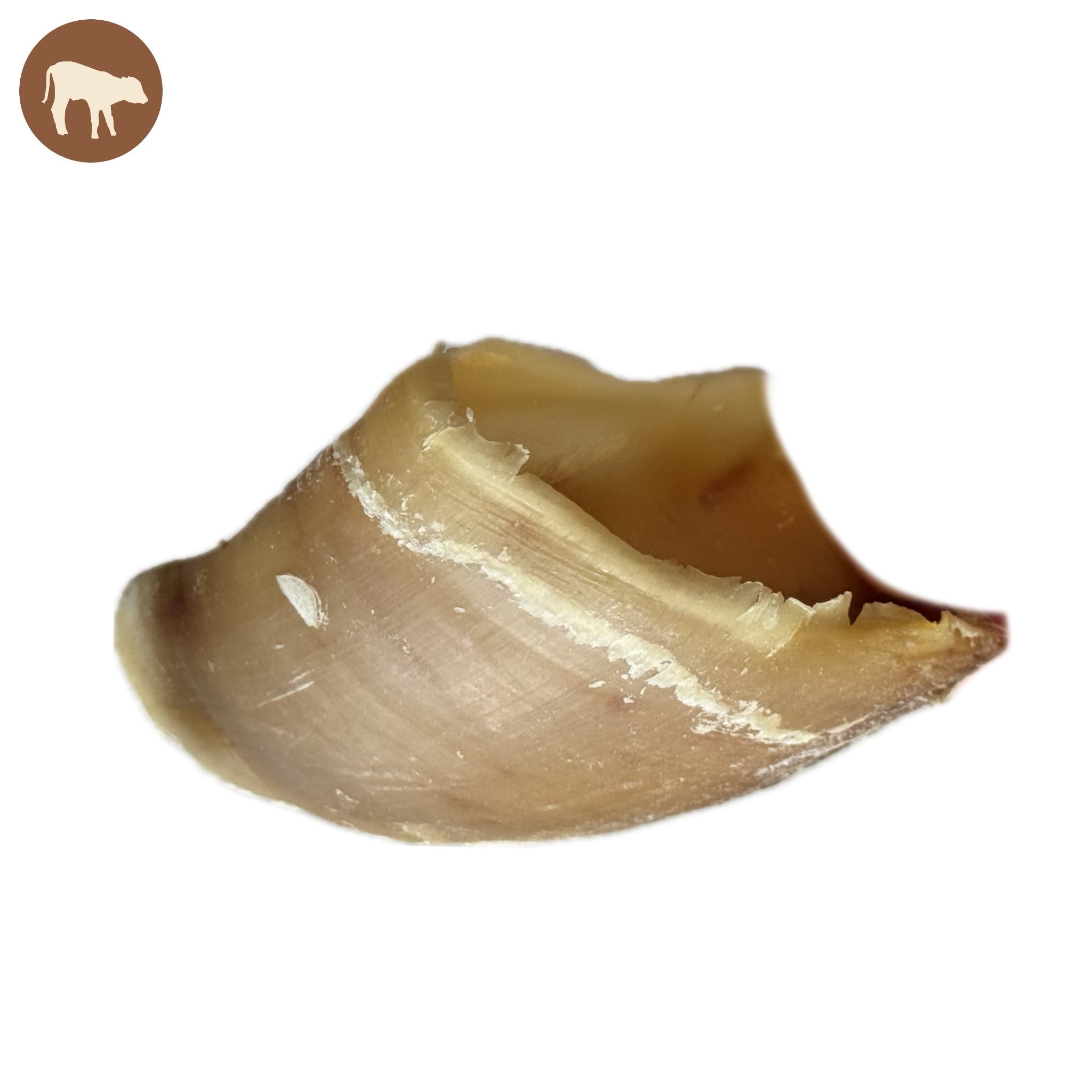 Sabot de veau