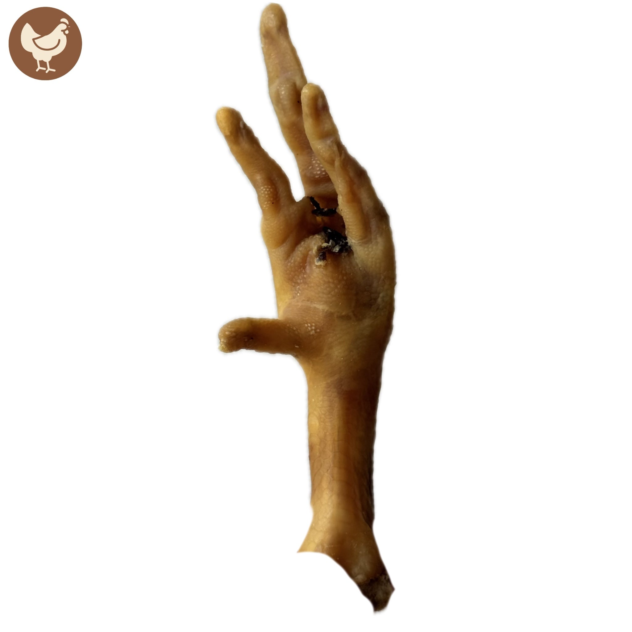 Patte de poulet