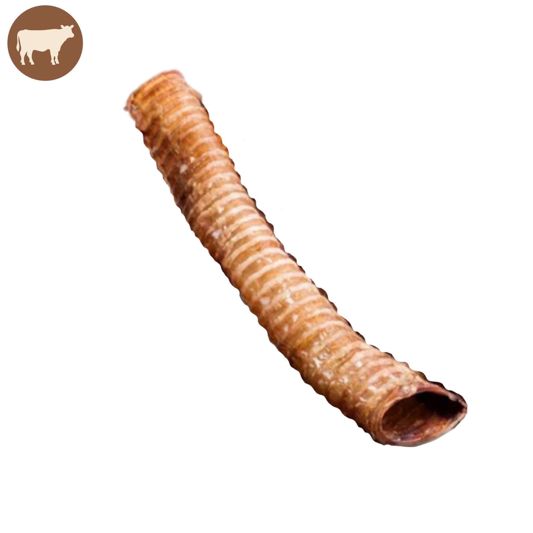 Trachée de boeuf 30cm