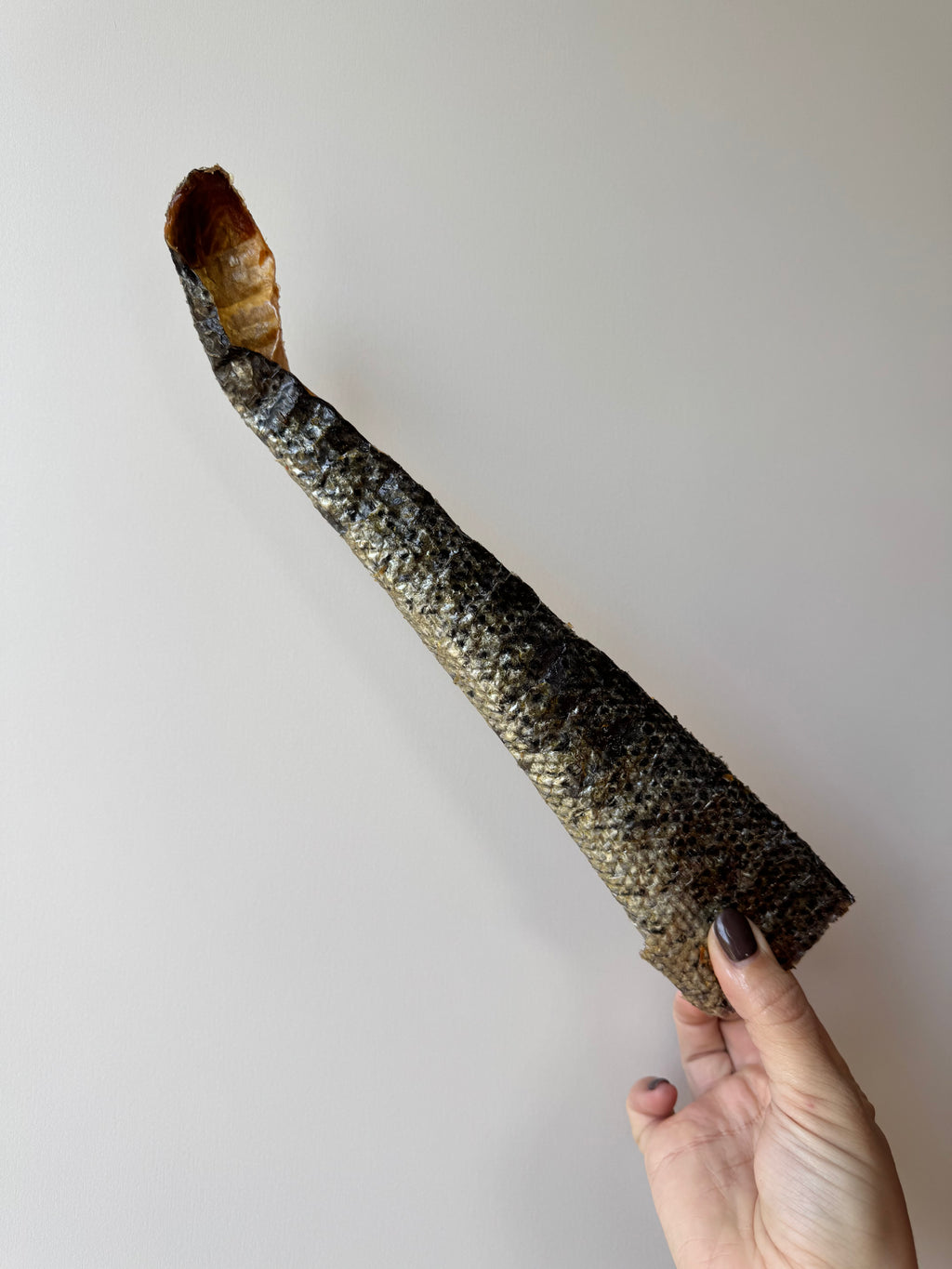 Peau de saumon 30 cm