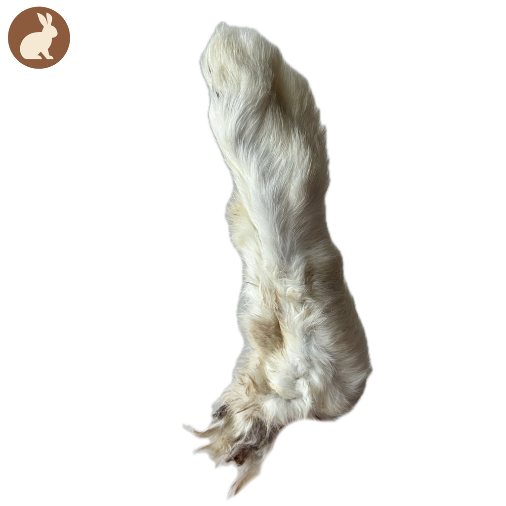 Patte de lapin