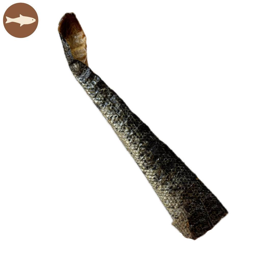 Peau de saumon 30 cm